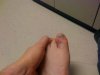 IMG_0267.jpg