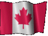 3dflags_can0001-000fa.gif