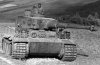 Tiger 1.jpg