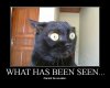 What has been seen.jpeg