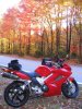 Ride 11-06-08 006.jpg