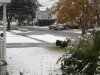 SnowDec11th2008 053.jpg