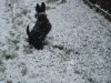 SnowDec11th2008 036.jpg