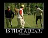 bear image.jpg