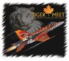 tiger 7.jpg