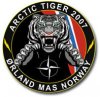 tiger 5.jpg