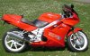 3-29-09 Ferdenand 005.JPG