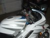 DSCF0008.jpg
