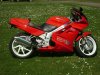 3-29-09 Ferdenand 006.JPG