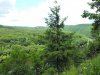 2009_04290009.jpg