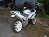 DSCF0010.jpg