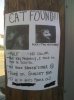found cat.jpg