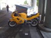Picture 008.jpg