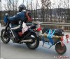 gallery_554_345_6383.jpg