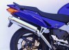 Staintune98VFR.jpg