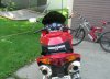 bike 2 002.jpg