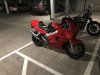 IMG_4242.JPG