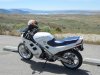 Flaming Gorge stop.jpg