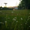 IMG_20170711_121944_875.jpg