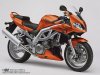 SV1000s_2003_orange.jpg