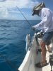 IMG_9733.JPG