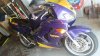 user596_pic7060_1501098602.jpg