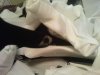 DSC01360.JPG