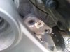 DSC01116.JPG
