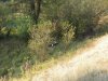 8. Scene, Bike in ditch.JPG