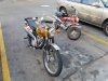 20170816_074021.jpg