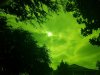 20170821_091257.jpg