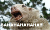 58eb85a2f2a8efd981cf4dfa34804baf.png