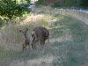 DSCN1292.JPG