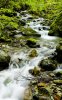waterfall in forest 2.jpg