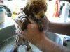 Baxter Bath[866].jpg
