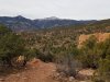 20171120_091429.jpg