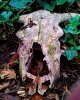 IMG_20180119_095003_425.jpg