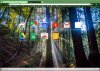 ArmstrongWoods-Theme.JPG