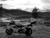 4E788F19-6FEE-4ACD-AC30-DF2F86135529.jpeg