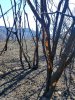 20180225_140546.jpg