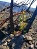 20180225_140720.jpg