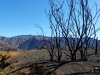 20180225_140529.jpg