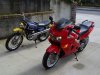 DSC02417.JPG