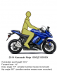 Ninja1000Lean.png