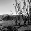 IMG_20180303_231157_933.jpg