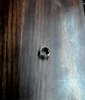 20180313_141407.jpg