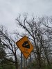 20180323_165240.jpg