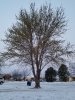 20180407_070024.jpg