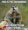 FB_IMG_1523764670525.jpg