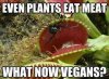Plants-eat-meat.jpg